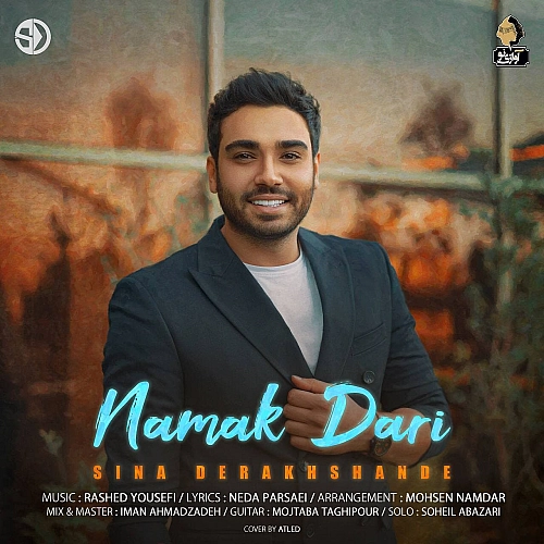 Cover artwork for Namak Dari by Sina Derakhshande